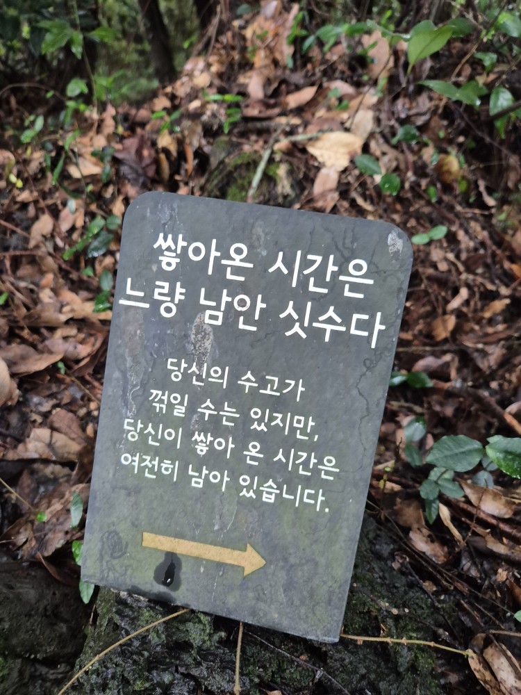 제주대학교 부동산연구회 환상의 숲 (2025.09.28)