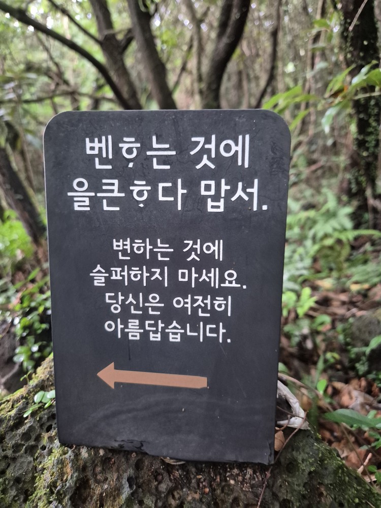 제주대학교 부동산연구회 환상의 숲 (2025.09.28)